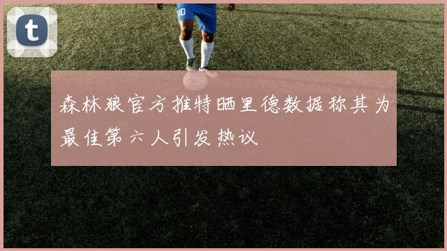 森林狼官方推特晒里德数据称其为最佳第六人引发热议