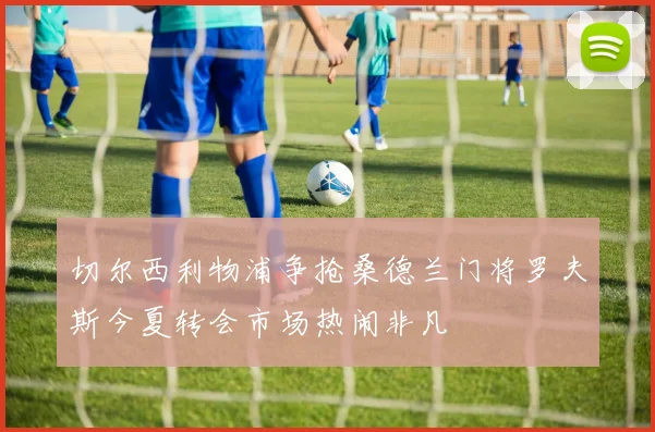 切尔西利物浦争抢桑德兰门将罗夫斯今夏转会市场热闹非凡